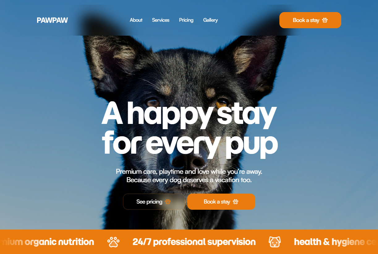 PawPaw dog boarding — an example client website built with LaunchSite